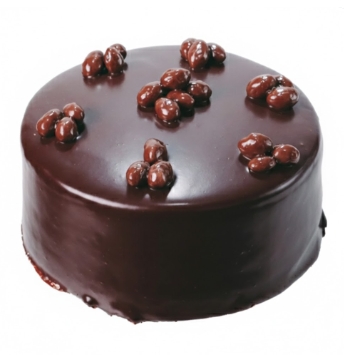 6-9 Kişilik Çikolatalı Butik Lezzet Serisi Günlük İstanbul pasta